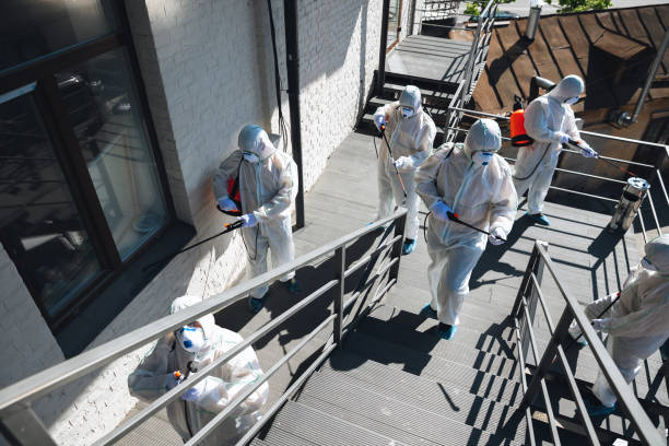 Best Commercial Mold Inspection  in Woodbine, GA