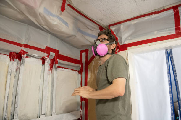 Best Mold Remediation for Healthcare Facilities  in Woodbine, GA
