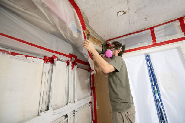 Trusted Woodbine, GA Mold Removal Experts