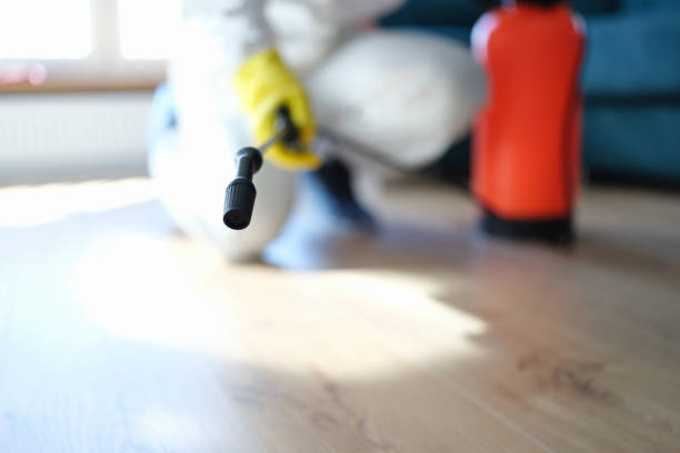 Best Environmental Consulting for Mold Prevention  in Woodbine, GA