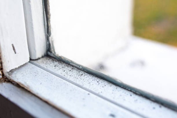 Best Residential Mold Inspection & Testing  in Woodbine, GA